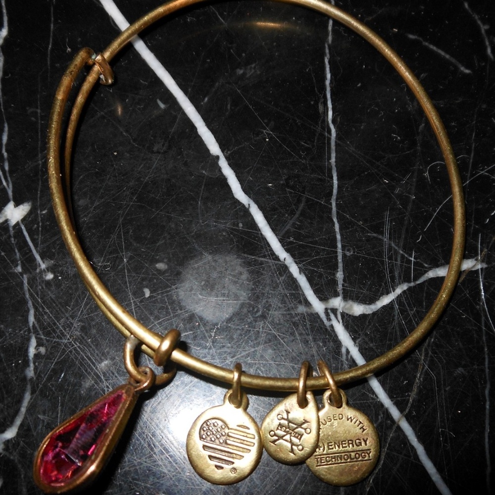 Alex And Ani Amethyst Birthstone Charm Copper Gold